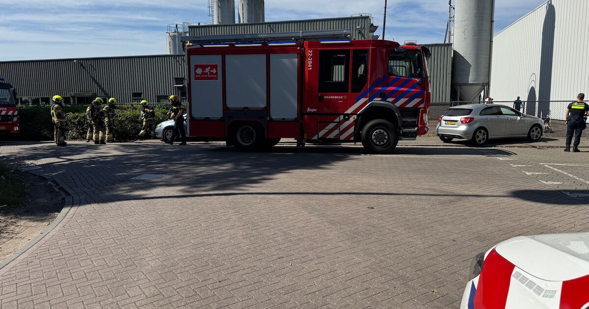 Hovenier ziet rook en alarmeert brandweer: vuur in isolatie van pand op industrieterrein in Gemert