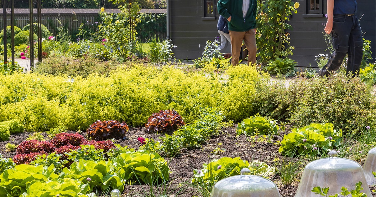 Open dag in historische moestuin Twickel