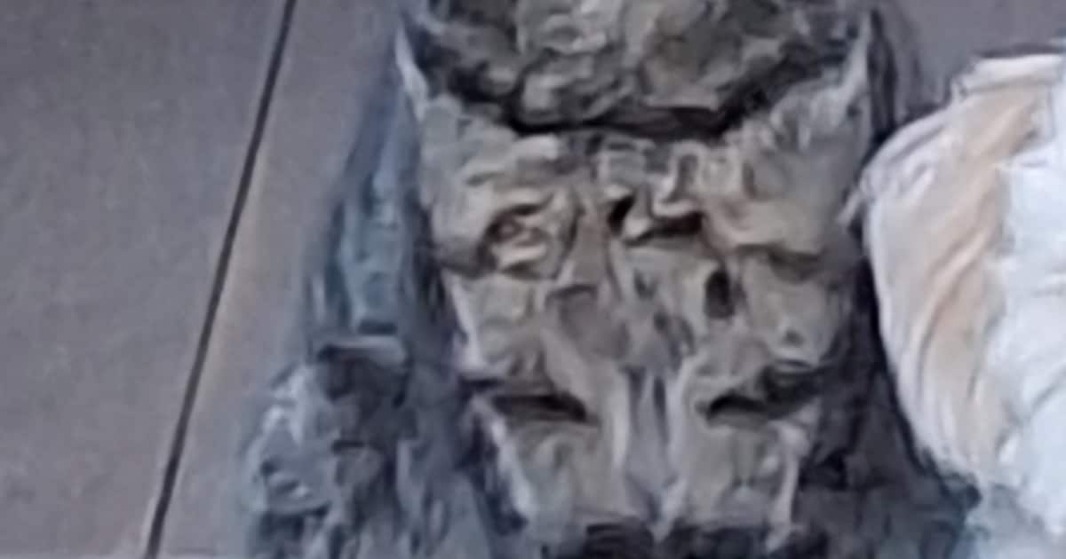 Heb jij John of Kanaries gezien? Deze twee huisdieren worden in Dijk en Waard vermist