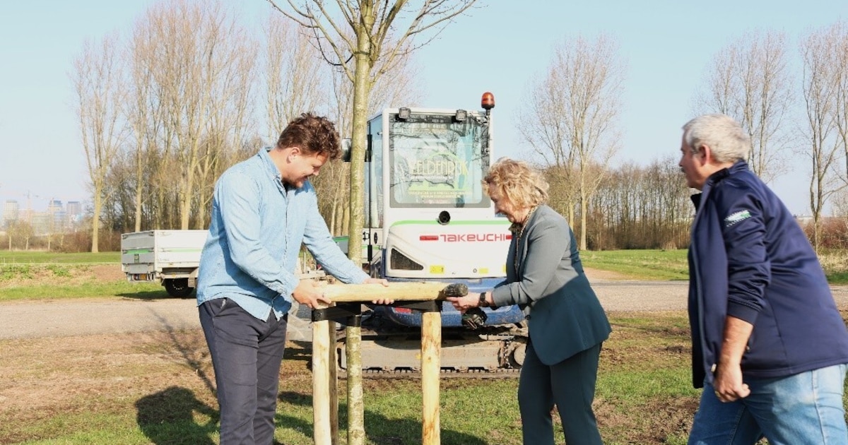 Ouder-Amstel plant meer dan 1.300 bomen rond Ouderkerkerplas