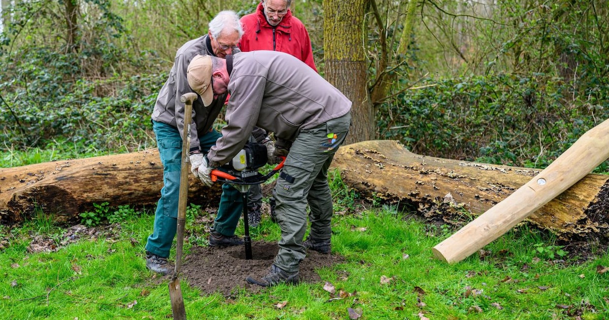 Nieuw speelelement in het Klauterwoud Vlaardingen