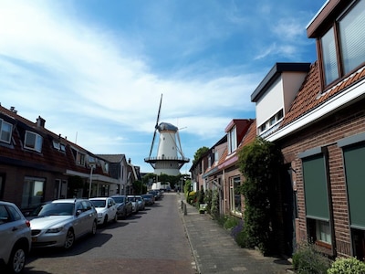 Deze drie koophuizen staan in een Zoetermeerse straat met uitzicht op een molen