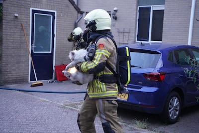 Brandweer redt kat bij woningbrand in Zwolle