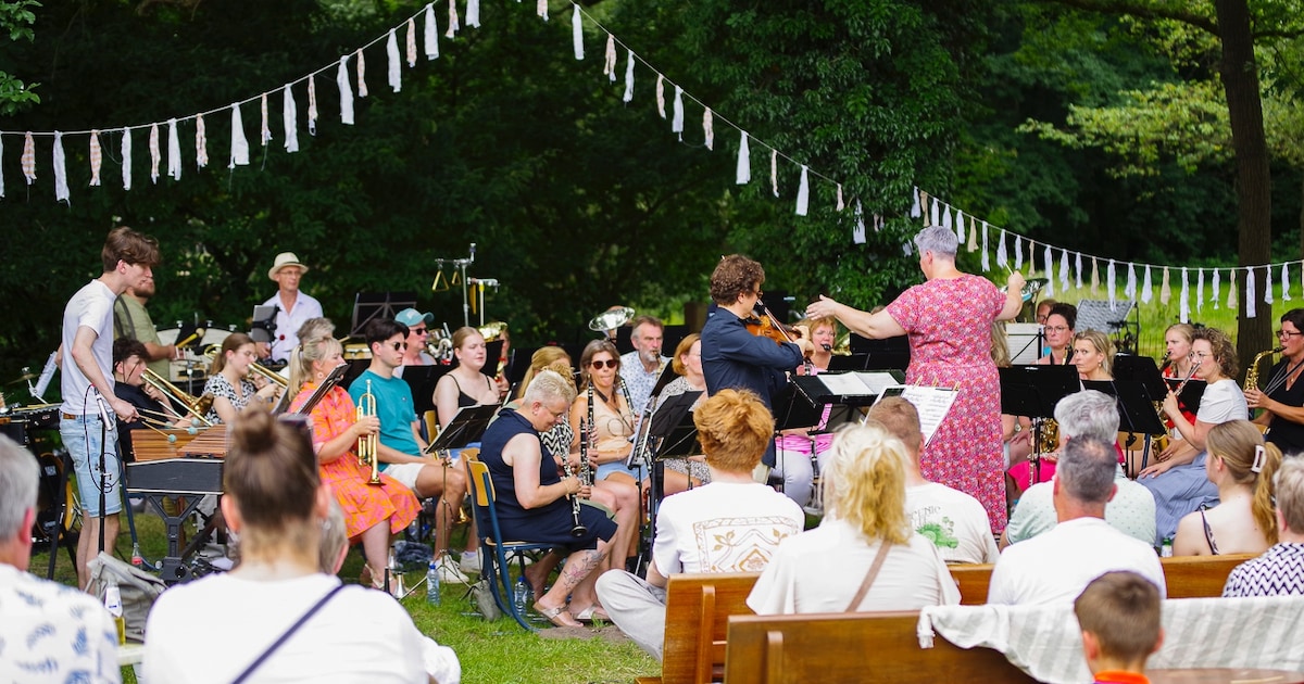Winterswijkse orkesten geven openluchtconcert