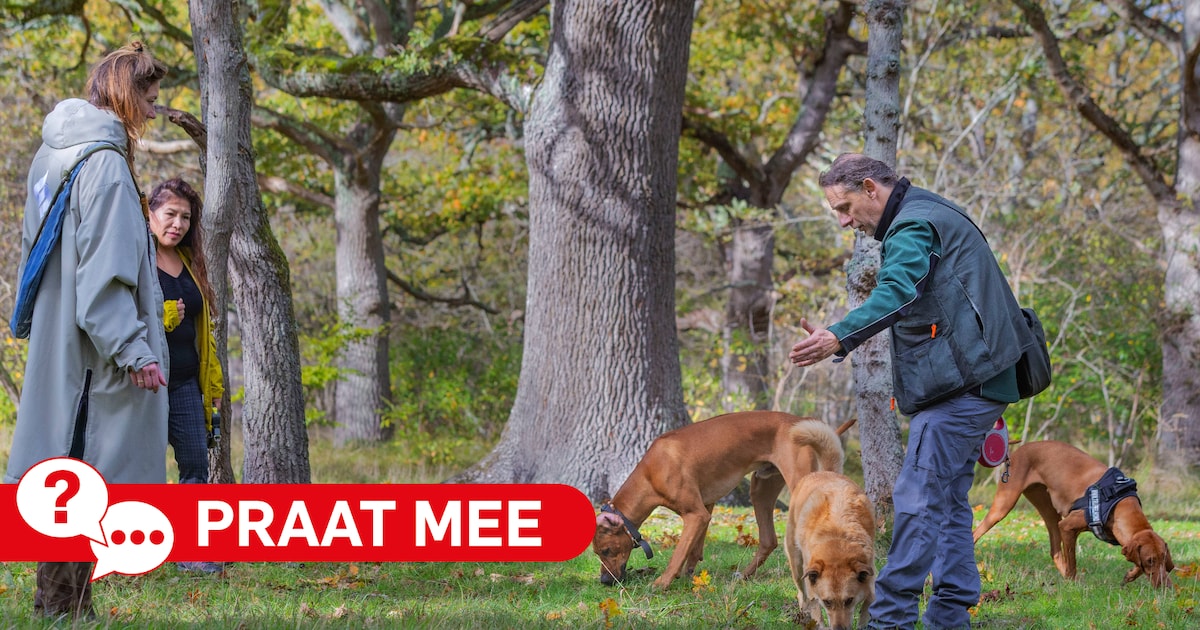 Is de hond een melkkoe voor de gemeente Wassenaar?