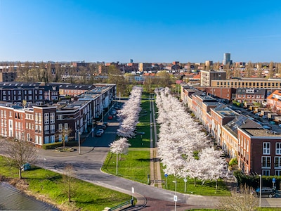 Wauw! Christiaan deelt prachtige dronevideo van bloesemlaan in Leidsche Rijn