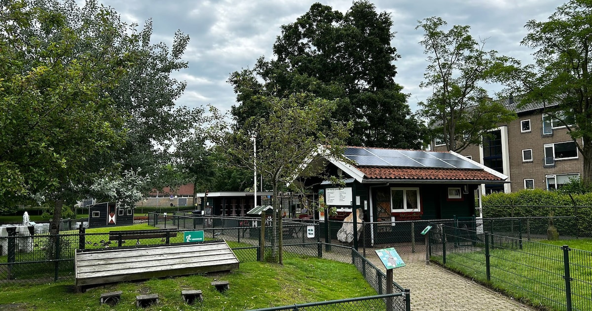Eigen tent, dieren knuffelen en pannenkoeken: zo ziet de logeerpartij in Alblasserdam eruit