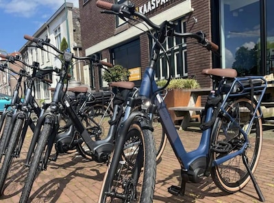 'What’s the mileage?' Ask that for a used e-bike too
