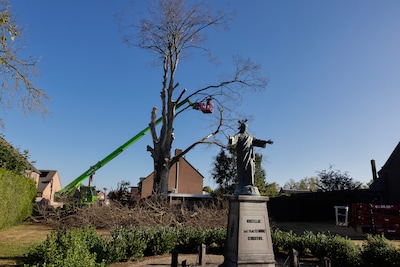Image related to the article