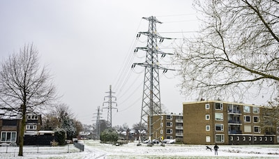 Image related to the article