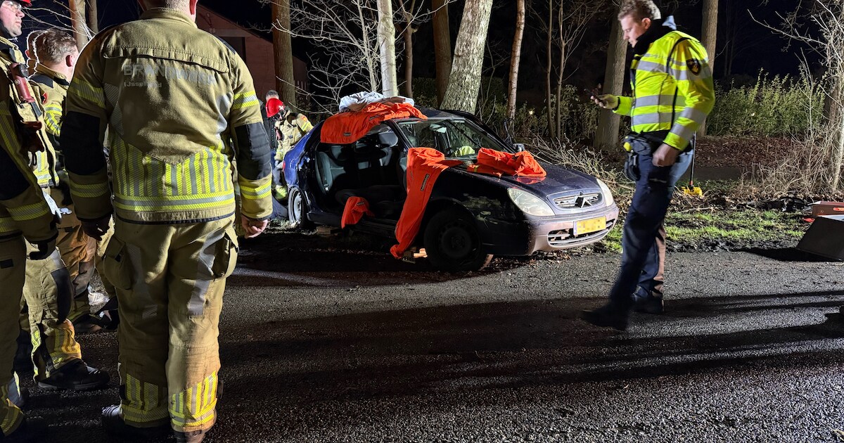 Auto botst op boom bij Heeten, bestuurder zit vast in auto en wordt door brandweer bevrijd