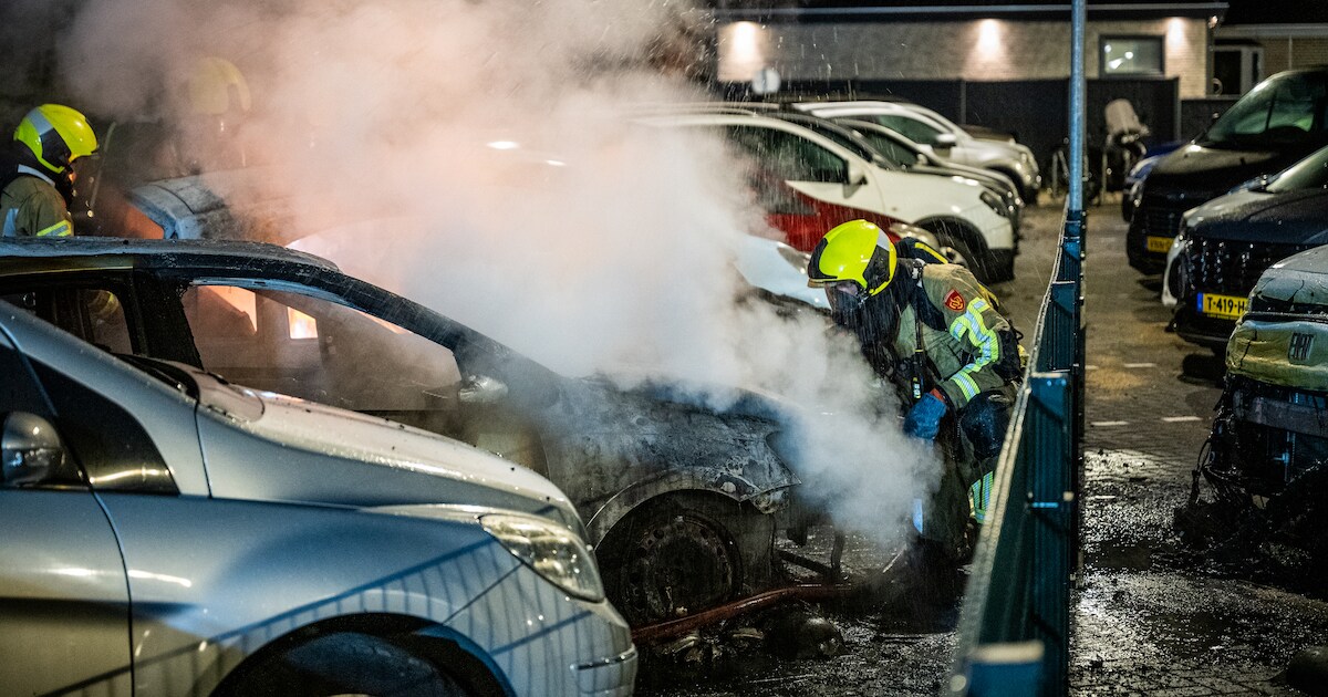 Vier auto's in brand gevlogen op parkeerplaats van recreatiepark in Warmond