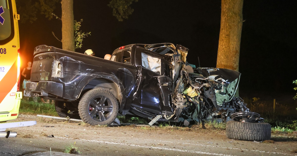 Pick-up raakt van de weg in Scherpenzeel, ramt boom