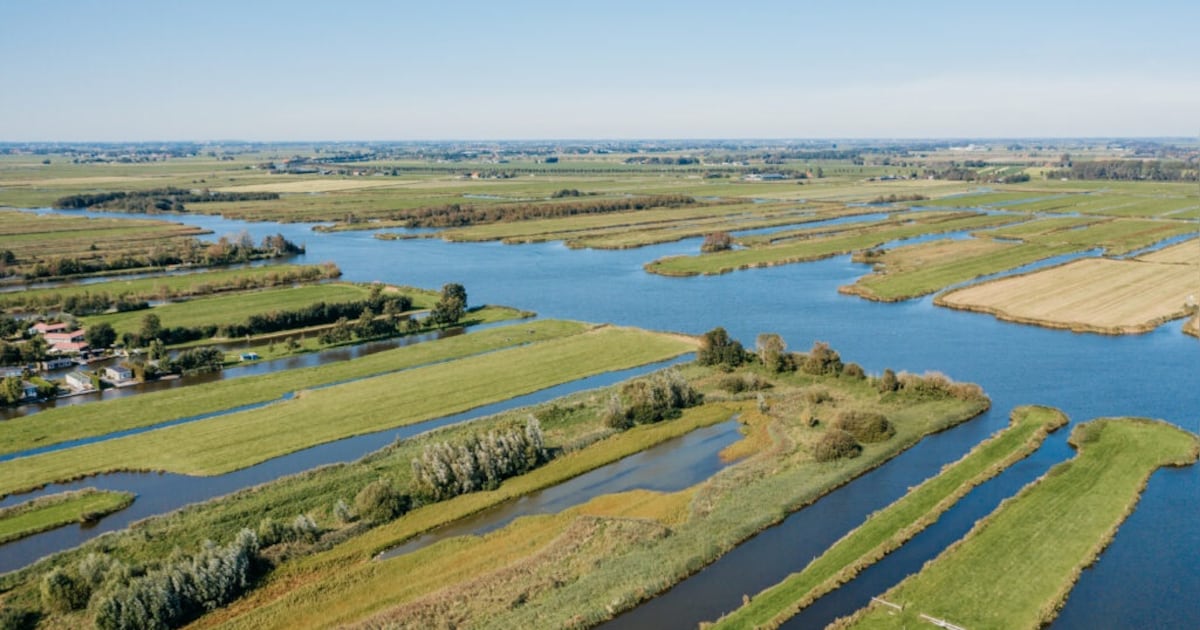 Gemeente Wormerland maait riet langs sloten en watergangen