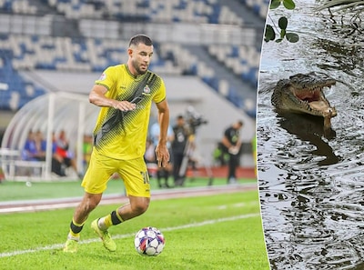 Image related to the article