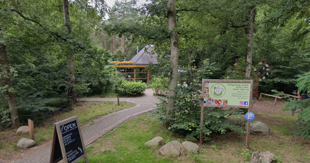 Atelierroute de Beetse ter Borg in Sellingen: kunst, theater en creativiteit