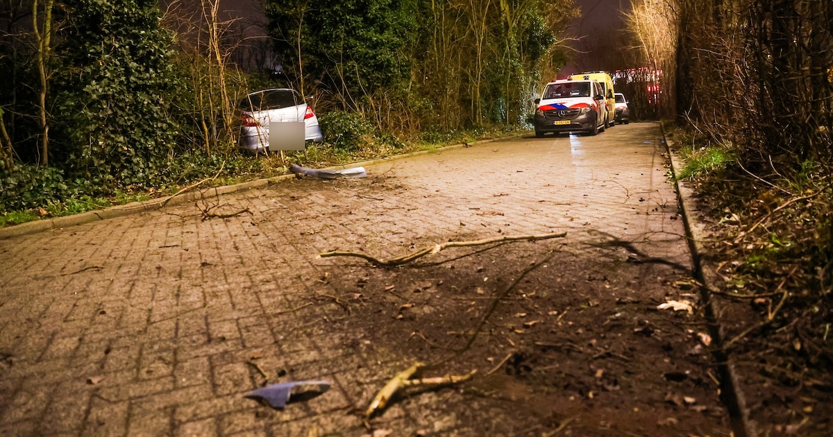 Automobilist vliegt uit de bocht op N211 richting Hoek van Holland