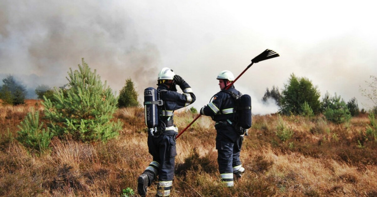 Code rood in verschillende provincies vanwege de hitte | Home | AD.nl