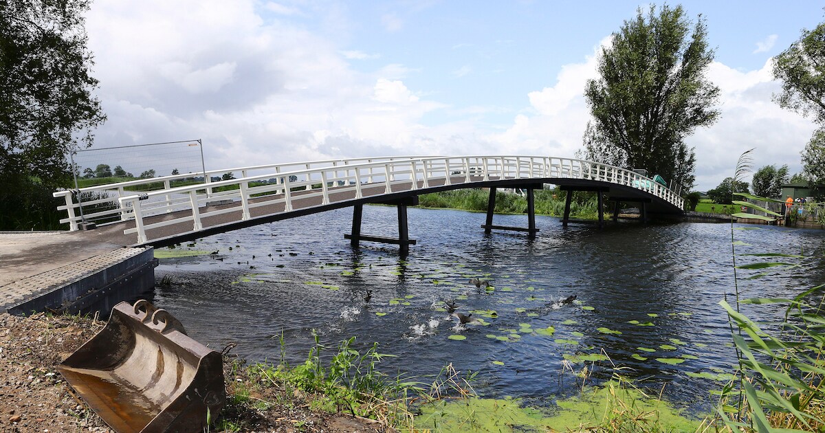 Tijdelijk drie bruggetjes in Donkse Laagten bij Brandwijk