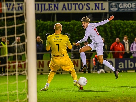 Zorgen nemen toe bij IJsselmeervogels: ‘We moeten aan de bal meer gaan brengen’