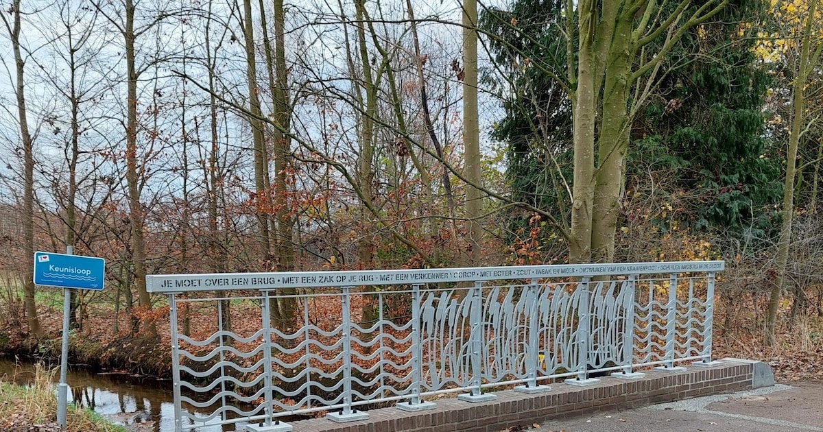 Gemeente Bergeijk vervangt negen brugleuningen in de regio