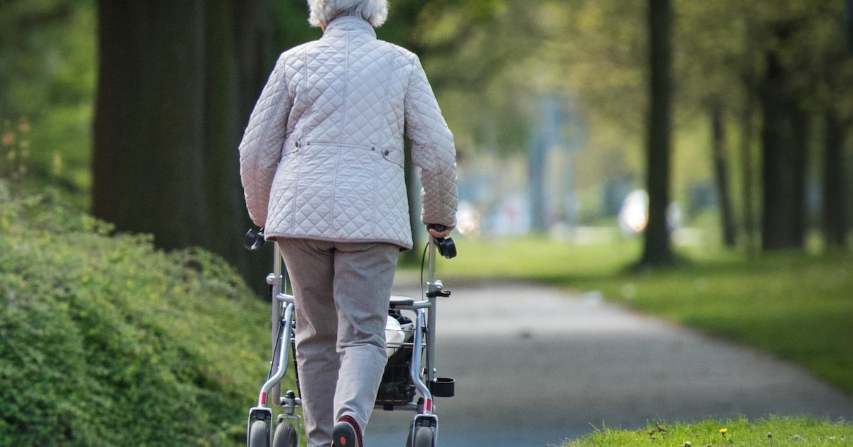 Wandelactiviteit voor senioren in Bladel: route ook geschikt met een rollator