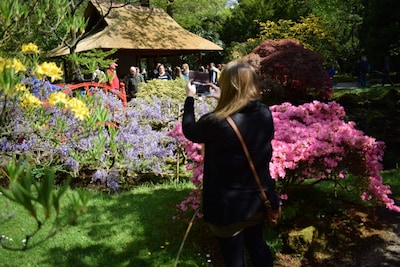 Verborgen parel: deze Japanse tuin opent maar een paar weken