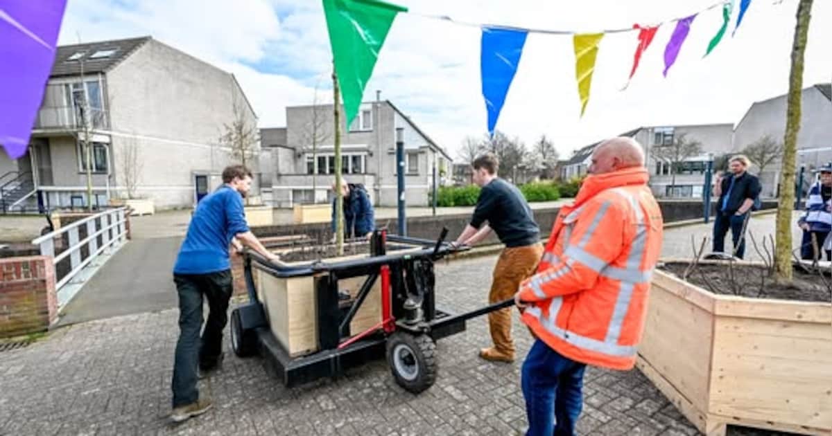 Schollevaar krijgt tijdelijk bos, half juni verhuist het naar nieuwe plek