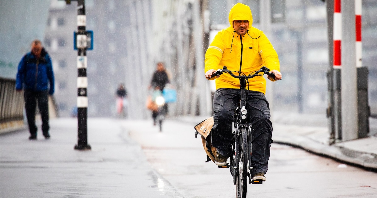 Het sneeuwde (voor héél even) in Rotterdam! Kunnen we meer sneeuwbuien verwachten?