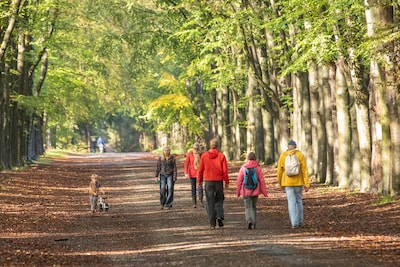 Regen, koude wind, maar tóch soms zon: ‘Warme jas langs de sportvelden geen overbodige luxe’
