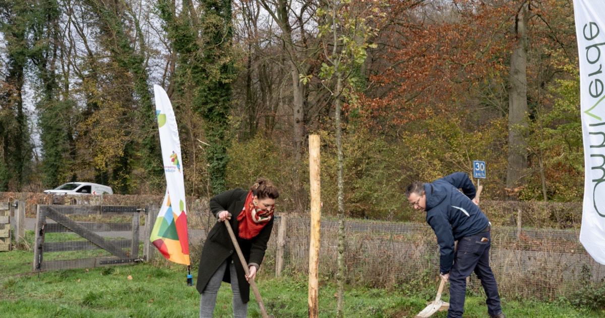 Eikelmuis krijgt oversteekbomen in Eijsden-Margraten