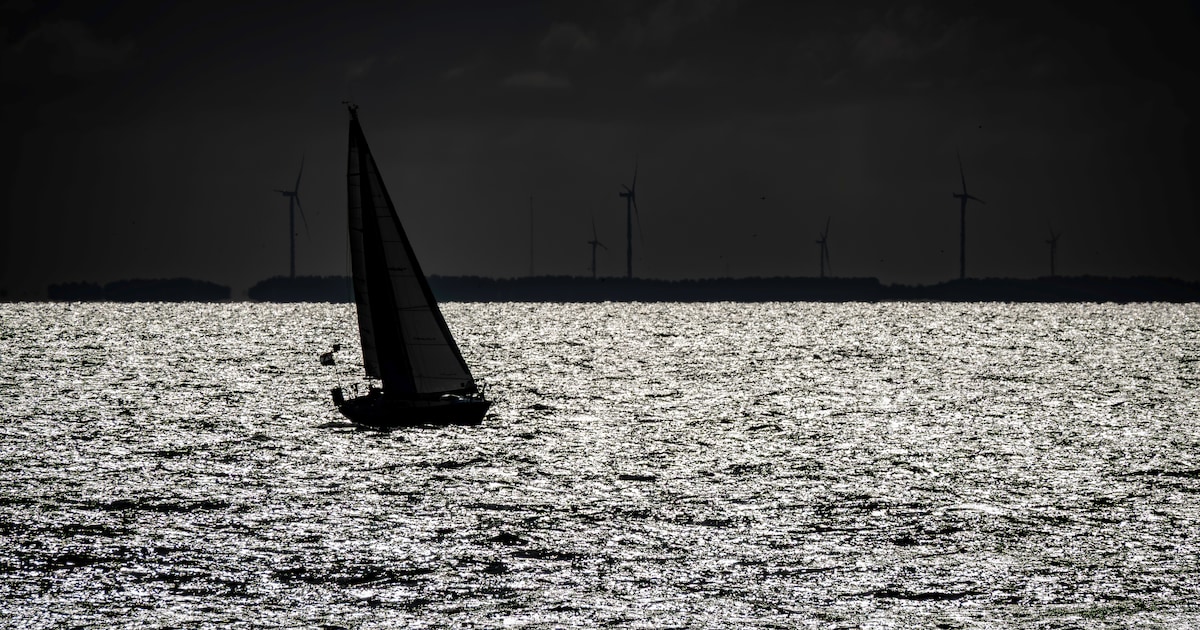 Vrijwilligers ruimen water en oevers op tijdens Skjin Wetter in Tytsjerksteradiel