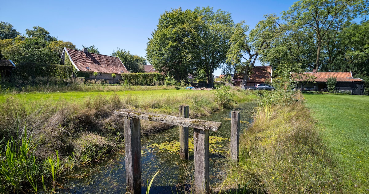 Zo gaat Losser de strijd aan met wateroverlast bij extreme buien