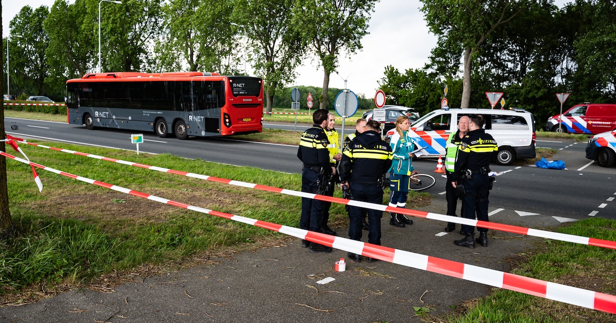 Vrouw (33) overleden na botsing met lijnbus in Heenvliet