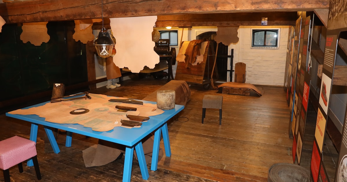 Gratis instaprondleiding in Museum De Looierij in Dongen met Boekenweekgeschenk