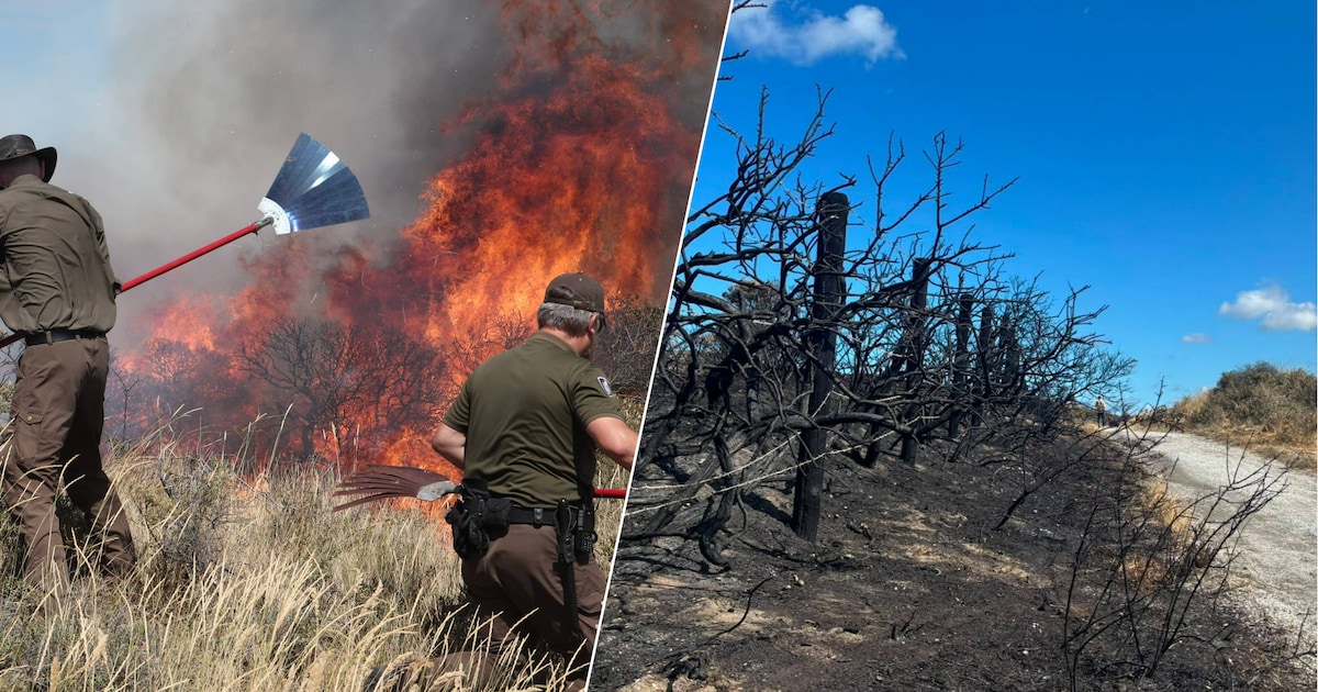 Medewerker strandtent rende duinen in met blusser: zo verliep de brand in Wassenaar
