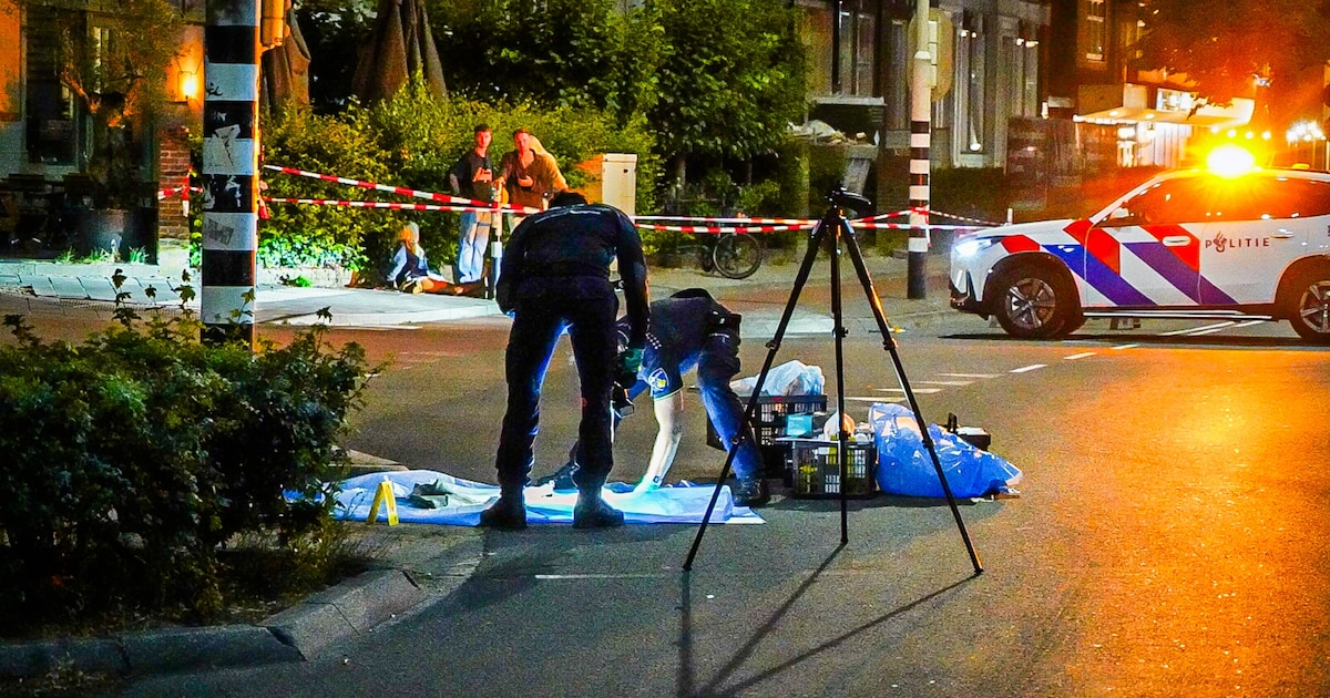 Amsterdammer (19) en man uit Hoorn (21) aangehouden voor dodelijk schietincident in Nijmegen