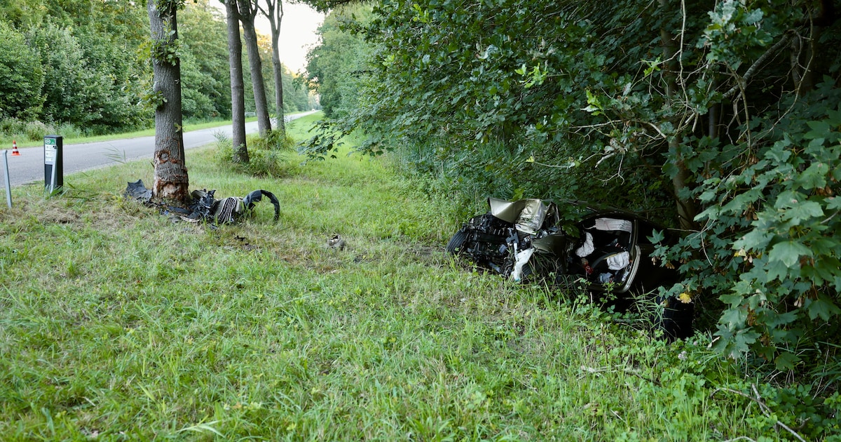 Auto botst tegen boom bij Bant
