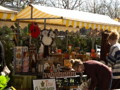 Vintage shoppen en oesters: dit kun je verwachten bij Vintagemert & Co in Nijmegen