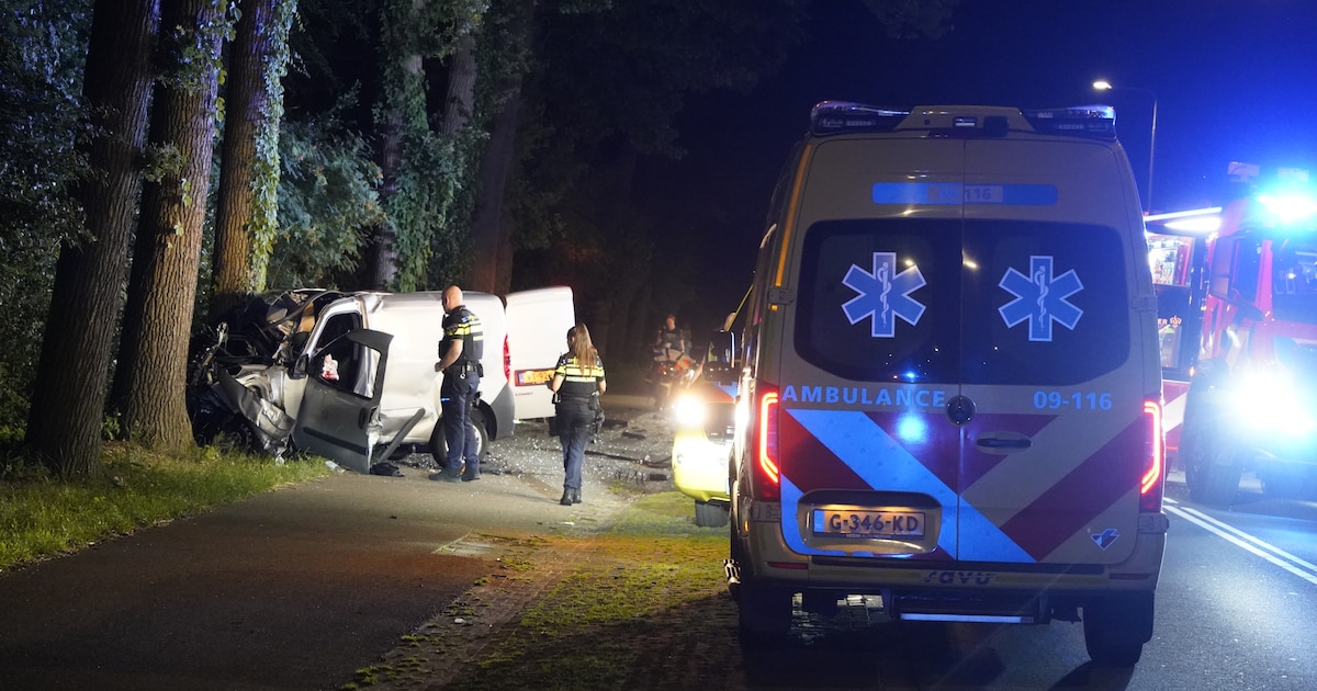 Bestelauto klapt frontaal tegen twee bomen in Barneveld, bestuurder zwaargewond