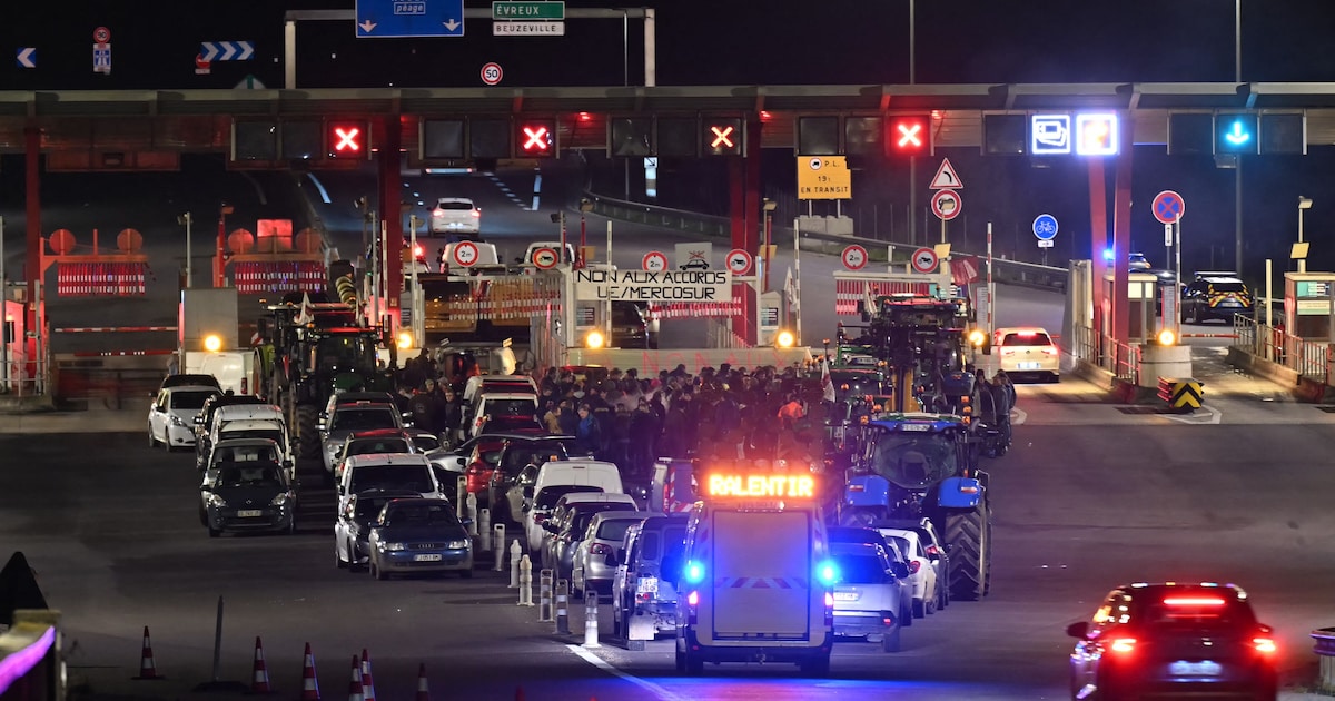 Opinie Partij voor de Dieren: ‘Geslachtshormoon op uw bord met kerst? Nee!