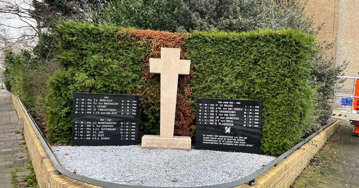 Zieke haag bij oorlogsmonument Sassenheim wordt vervangen