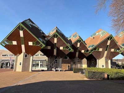 Image related to the article