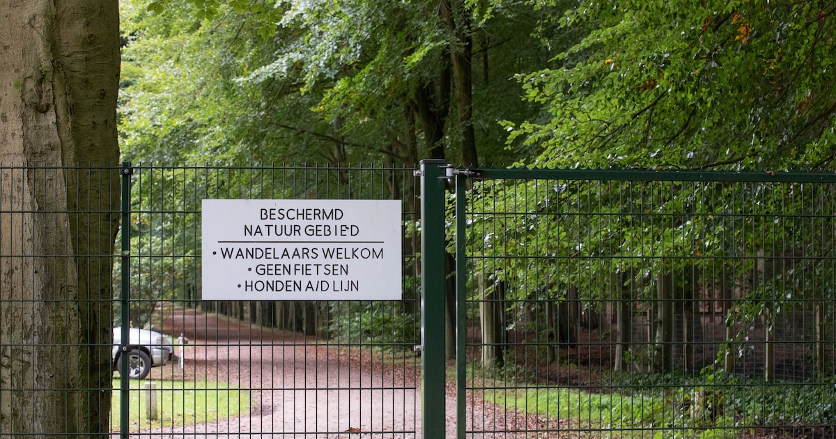 Op de fiets van Soest naar Lage Vuursche? Dan moet je ook in de toekomst omrijden: paden Pijnenburg 