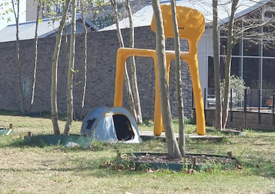 Wat doen al die mysterieuze tentjes in Eindhoven?