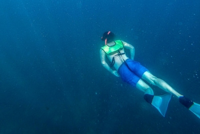 Whether or not to swim in the Haarlem region: this is the advice