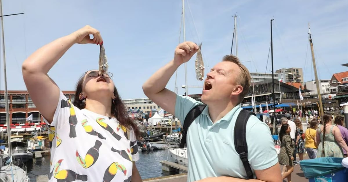 De Hollandse Nieuwe komt eraan: hier op Scheveningen eet je gratis haring