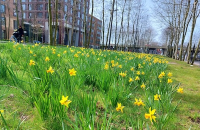 Image related to the article