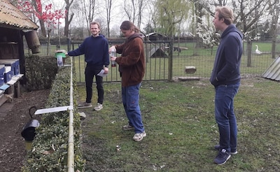 Zo bestrijd je de Aziatische hoornaar zonder onnodig veel insecten te vangen