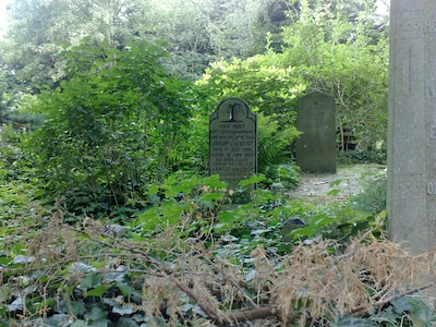 Image related to the article